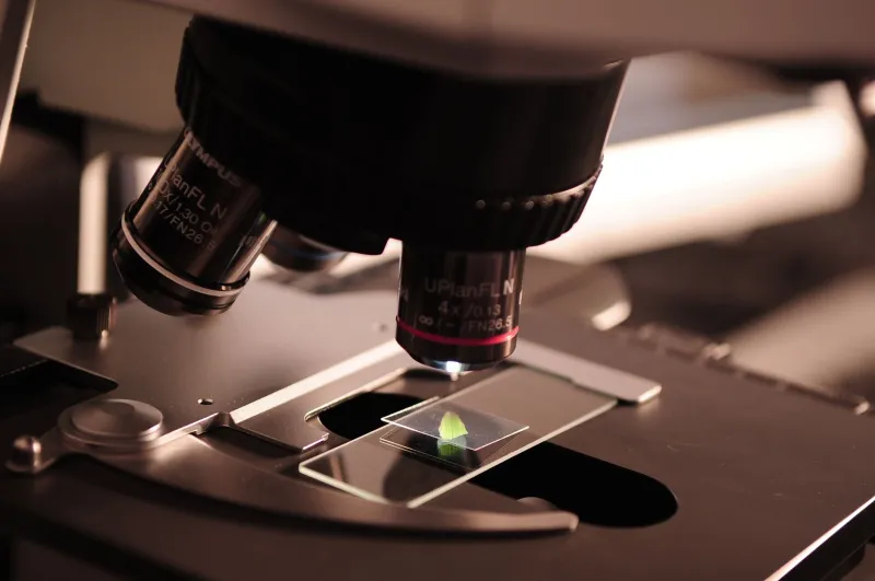 Precision Without the Premium: How Thai Optical Manufacturing Is Putting Medical-Grade Imaging Within Reach of Every Clinic