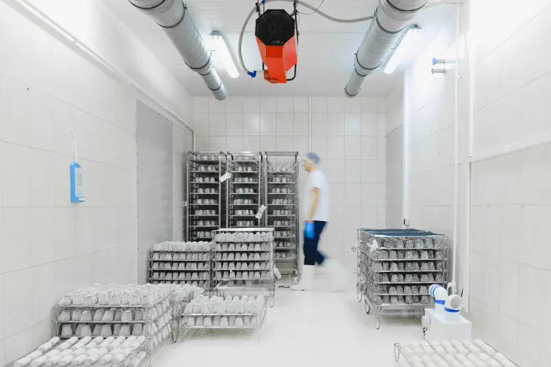From Dependency to Diversification: Thailand's Optical Industry and the Window Opening in Taiwan's Shadow